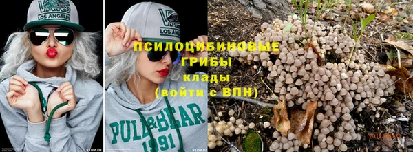не бодяженный Алзамай