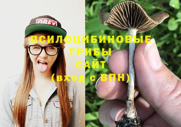мескалин Мегион