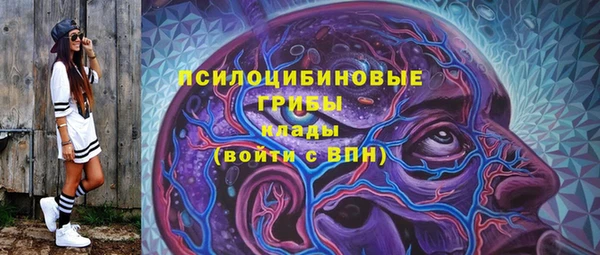 дурь Алексеевка