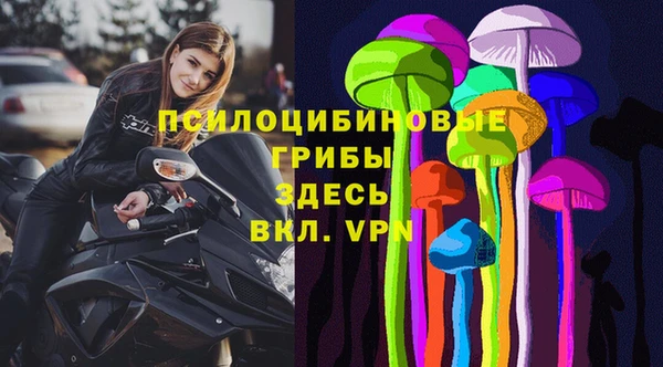 не бодяженный Алзамай