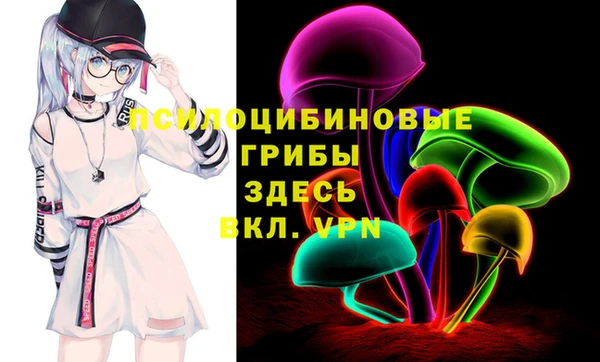 дурь Алексеевка