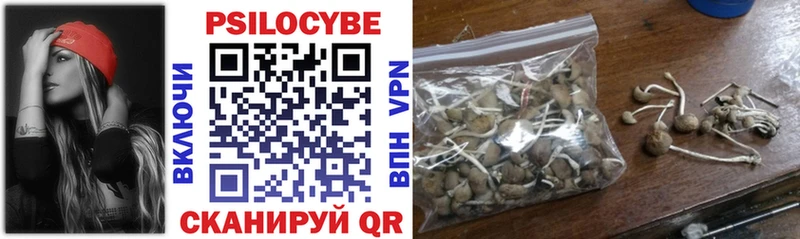 наркота  Новороссийск  Галлюциногенные грибы Psilocybe 