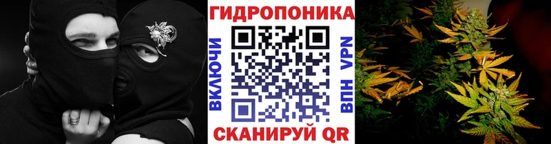 Конопля ГИДРОПОН Новороссийск
